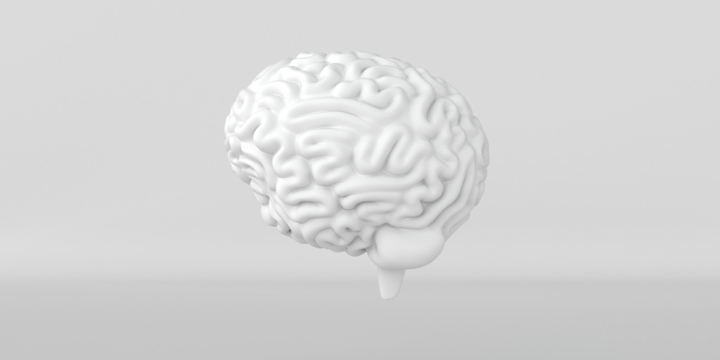 The human brain was not built to learn. It was built to survive. The human brain was not built to learn. It was built to survive.