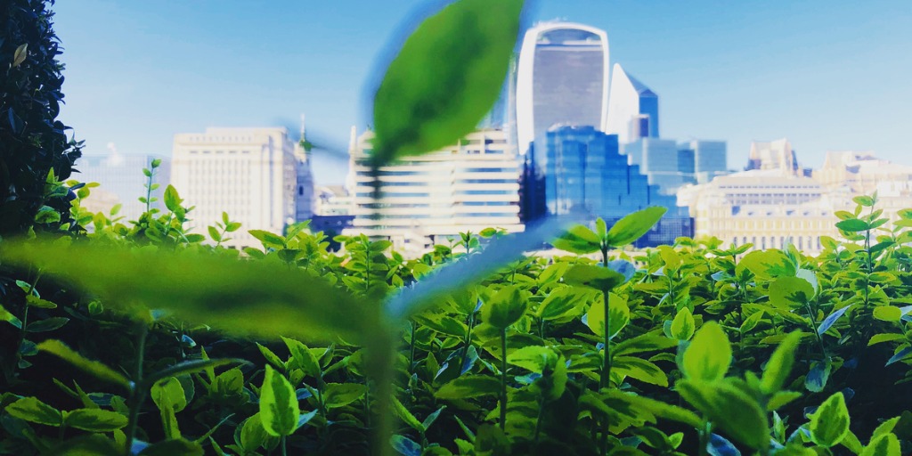 Intuition Know-How offers in-depth coverage on the topic of ESG in finance