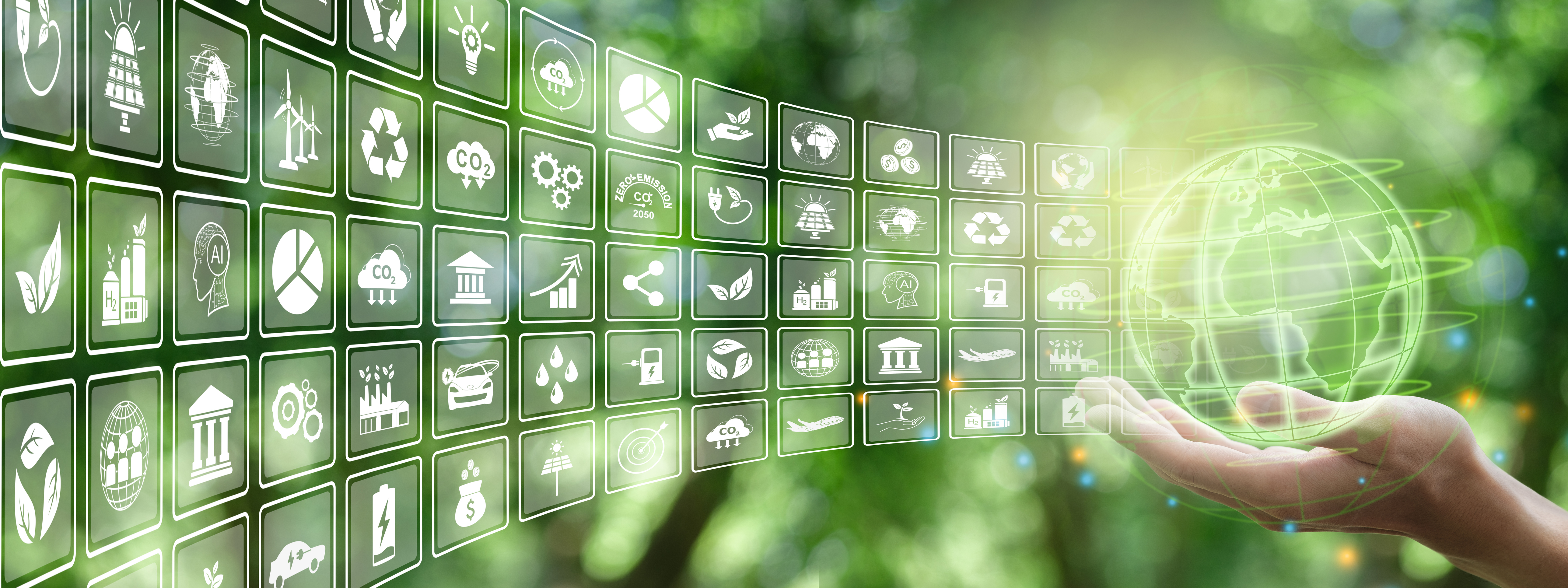 Environment What importance will sustainability hold?