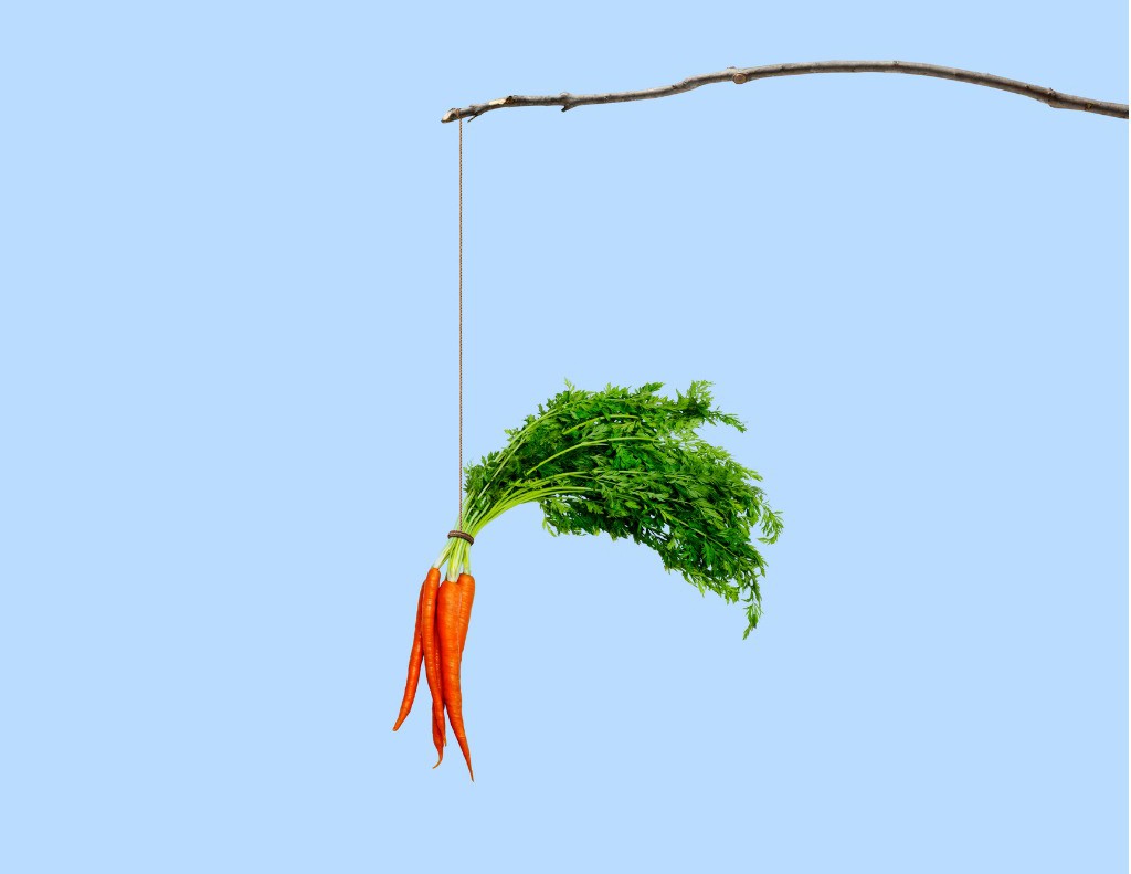 The next step in understanding motivation involves figuring out our motivation direction. Below you'll see an image of a stick and a carrot. This image depicts motivation direction. Motivation direction is when we're either motivated towards what we do want, which is pleasurable (carrot) or away from what we don't want, which is painful (stick).