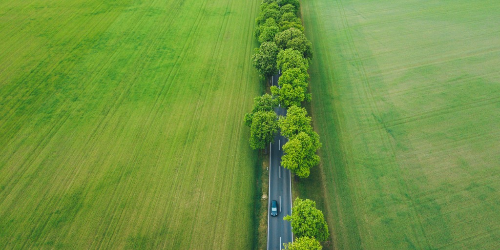 The US are putting in considerable work in an attempt to create a carbon neutral world, but are their attempts working? learn more about the global efforts currently underway in an attempt to green the grid.