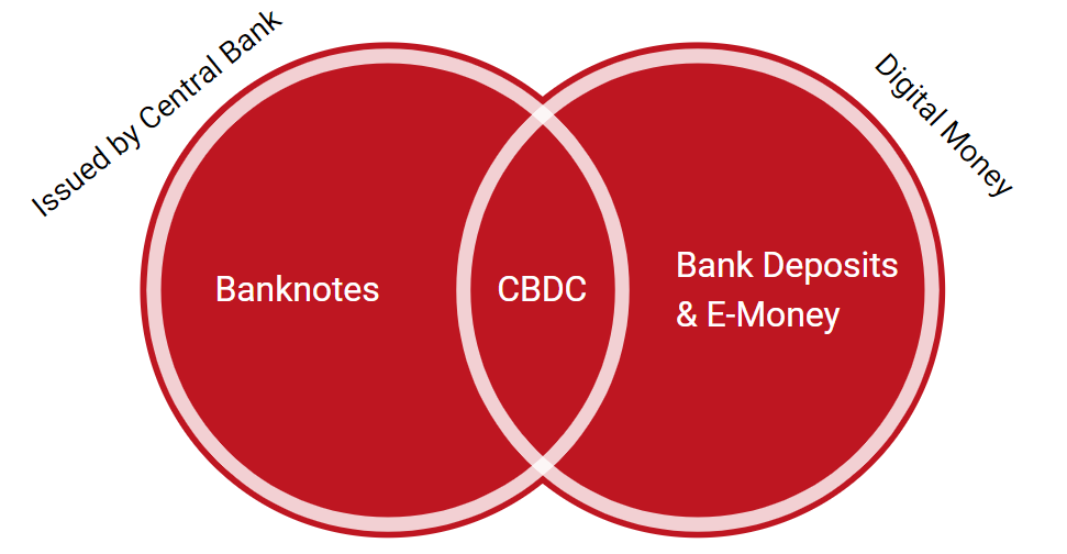 Bank of England. Central Bank Digital Currencies. June 2021.