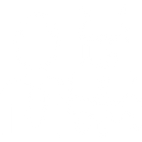 AML ICON