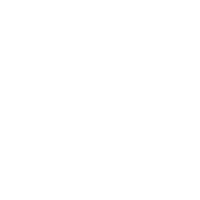 FRAUD ICON