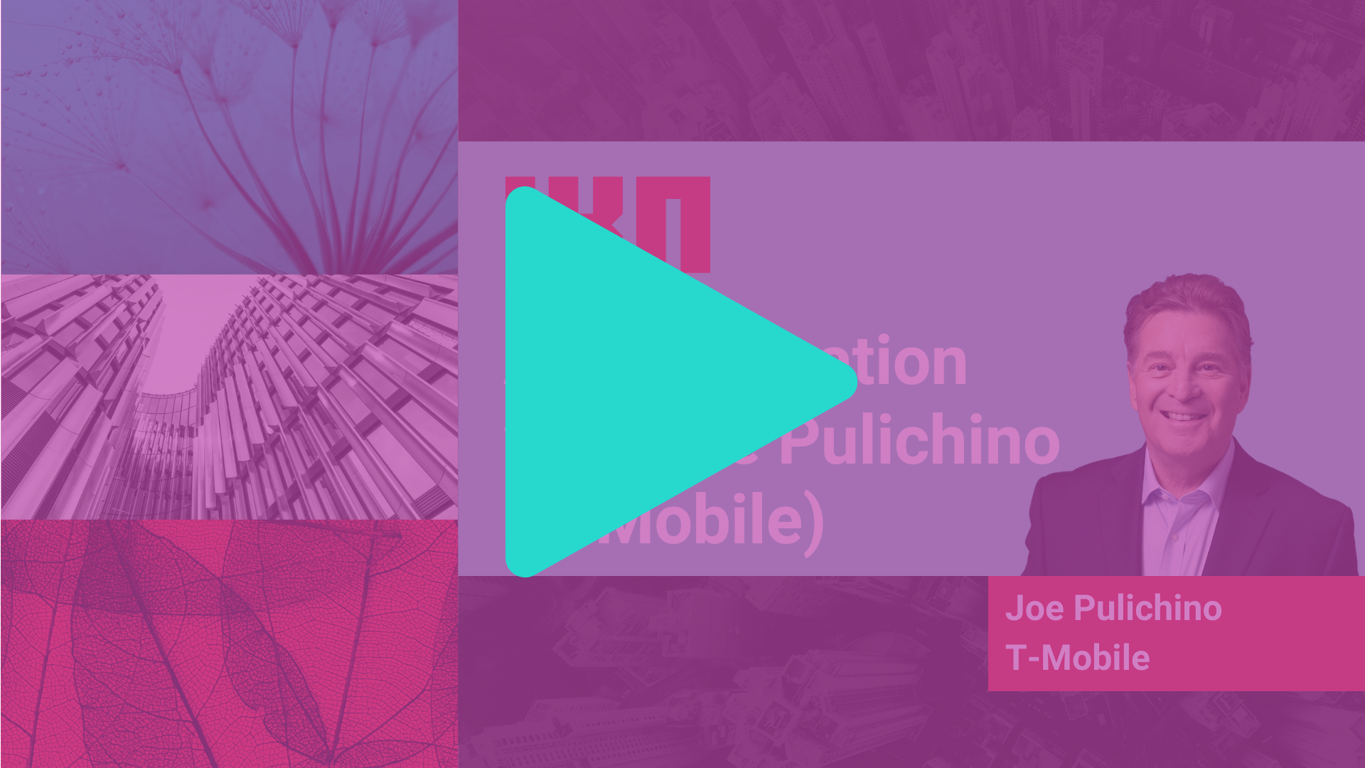 a conversation with Joe Pulichino