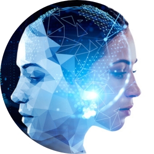 Skills Identification, Management and Development Skills Identification, Management and Development
