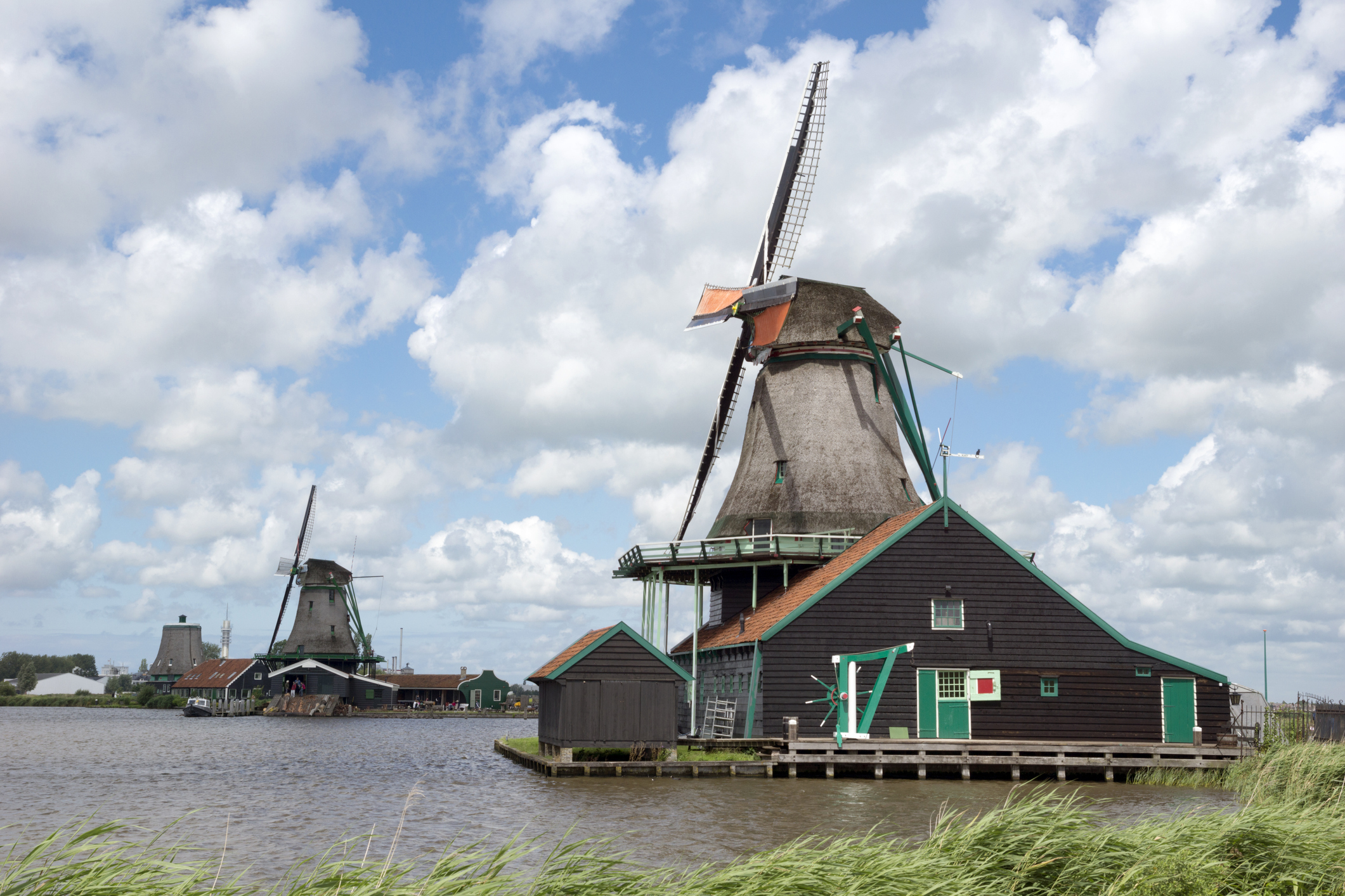 green revolution in the netherlands