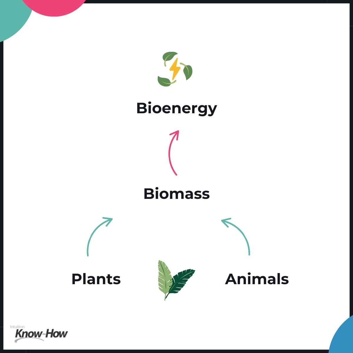 Bioenergy is comprised of plants and animals.