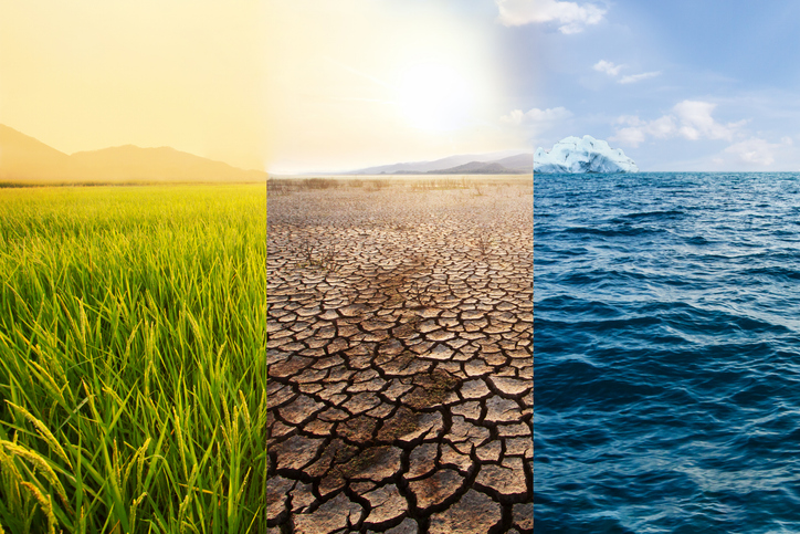 The overarching challenge for banks in understanding and addressing nature risk is that it remains relatively new, with no established policies, models, or data sets to rely on – unlike more traditional risks such as credit risk.